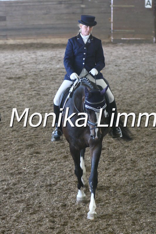 009M3988_Impression Dressur L.JPG